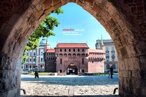 欧预赛携手作战，铁血拼搏不畏强敌