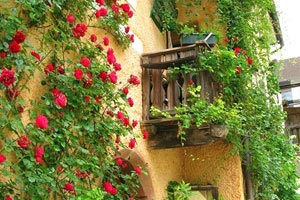 欧预赛顶级对决再次上演，惊心动魄