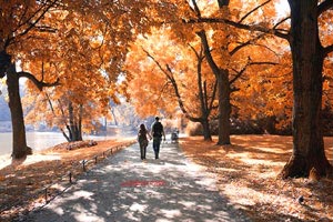 球员跳战不断，书写属于自己的传奇