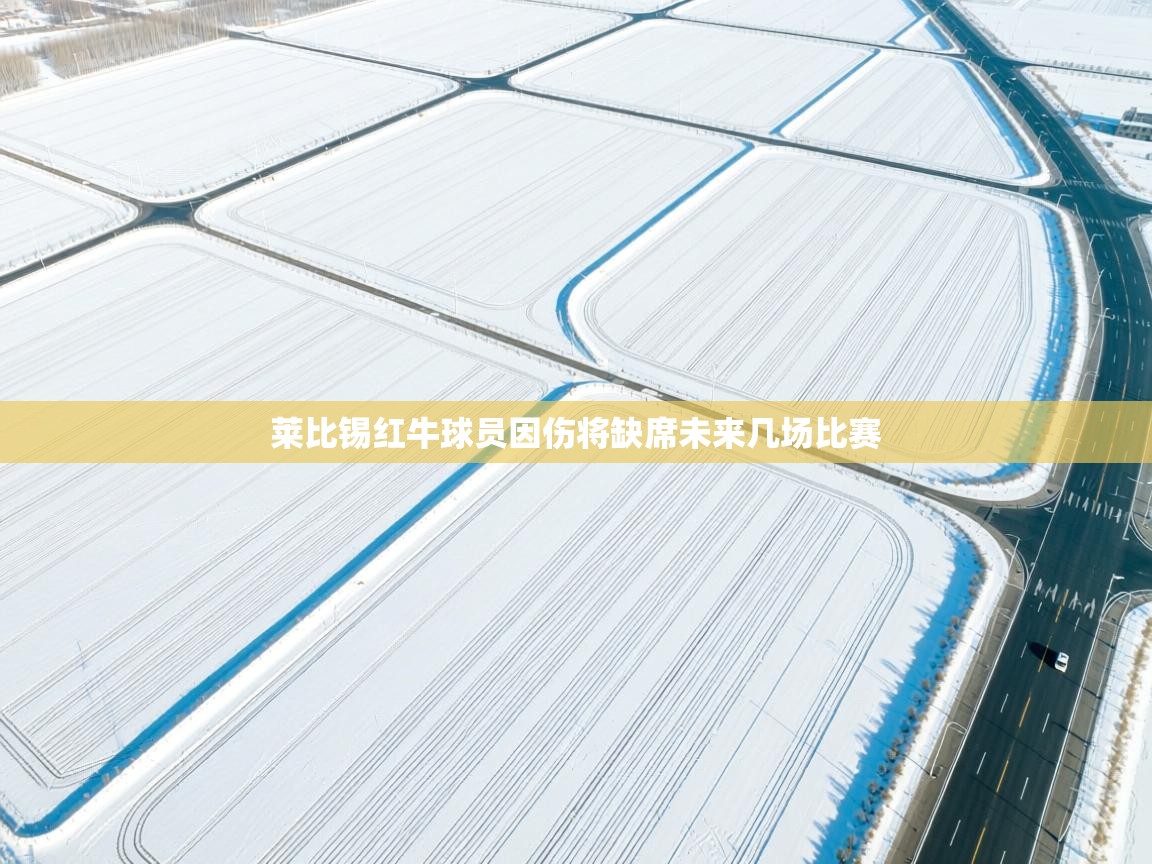 莱比锡红牛球员因伤将缺席未来几场比赛 第1张