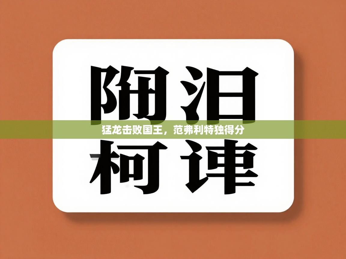 猛龙击败国王,范弗利特独得分 第1张